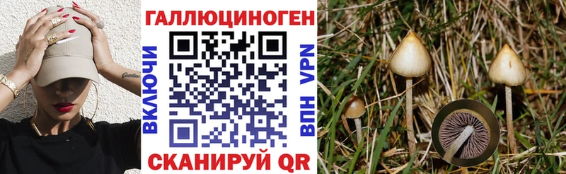 kraken сайт  Нязепетровск  Галлюциногенные грибы ЛСД 